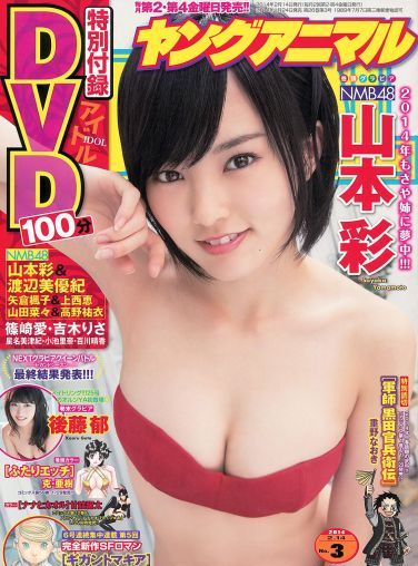 [Young Animal] 2014 No.03 山本彩 後藤郁[14P]