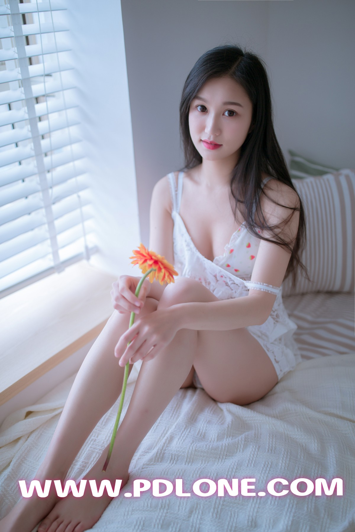 [PDL潘多拉] 2019.05.24 NO.404 (1).jpg