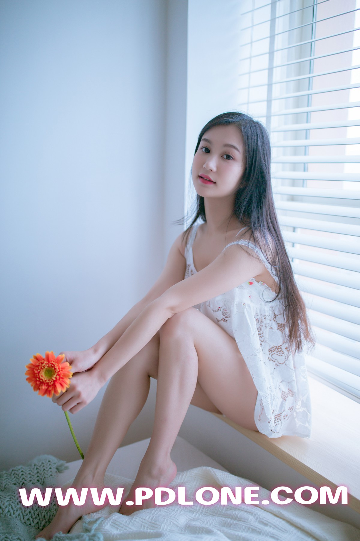 [PDL潘多拉] 2019.05.24 NO.404 (6).jpg