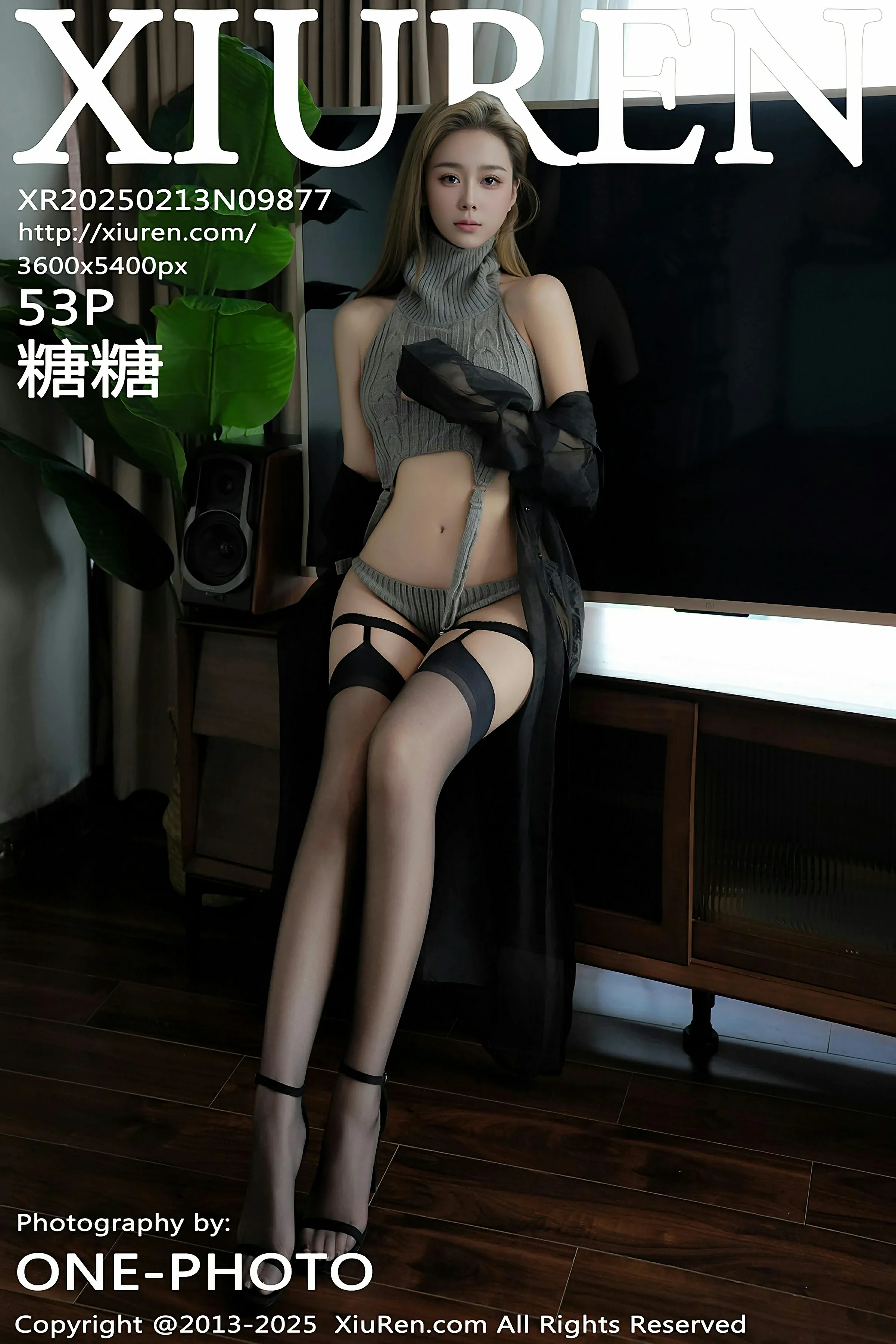 [XiuRen秀人网] 2025.02.13 No.9877 糖糖? 第1张
