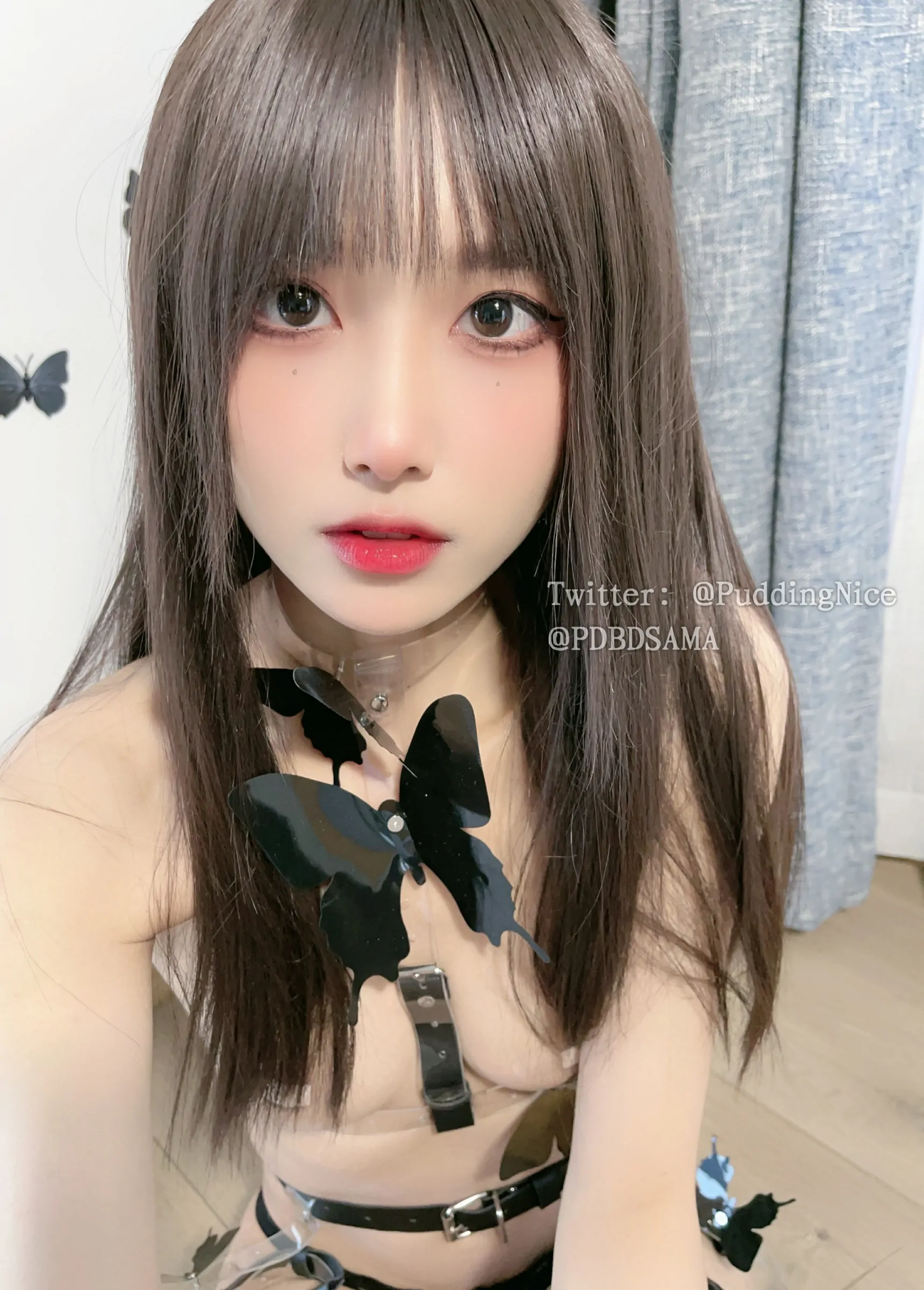 布丁大法 - 冰美式[50P]