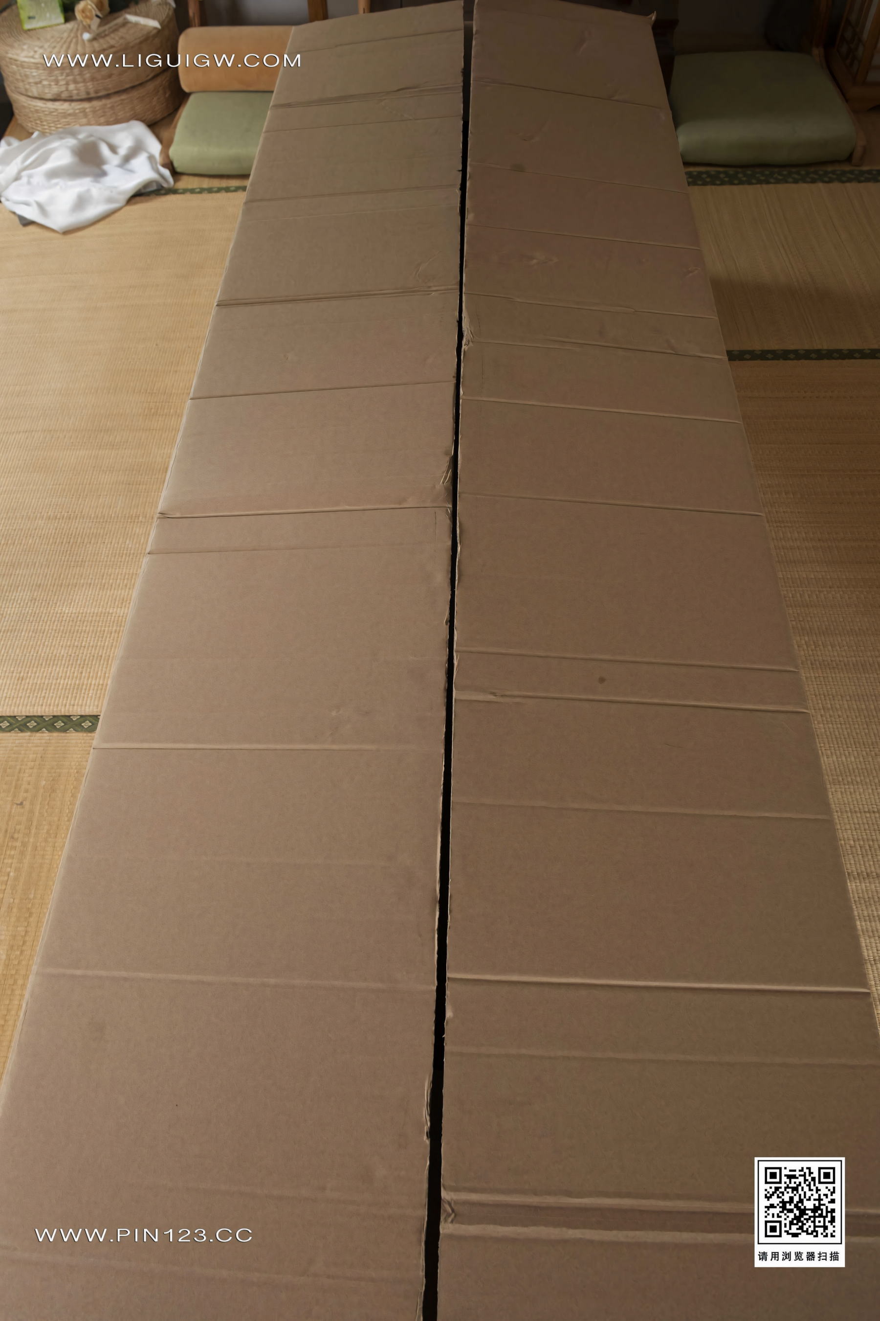 [Ligui丽柜] 2024.06.21 甜甜 第1张