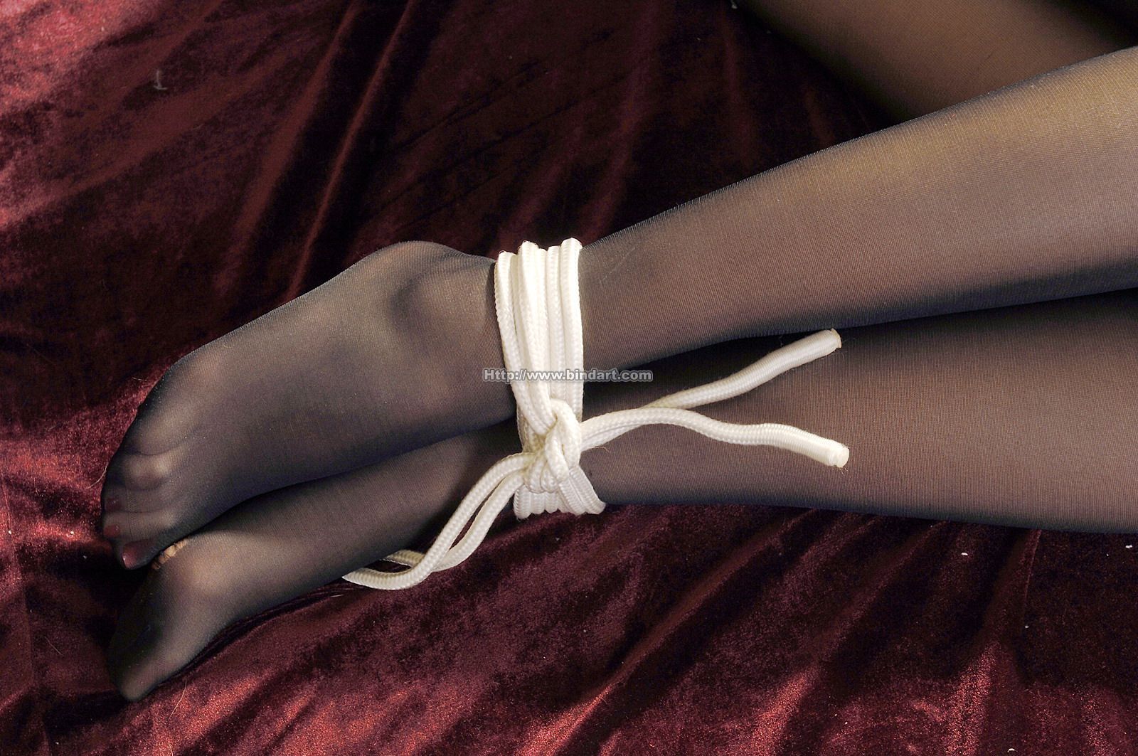 [丽柜bindart美束] 2006-12-06[39P]