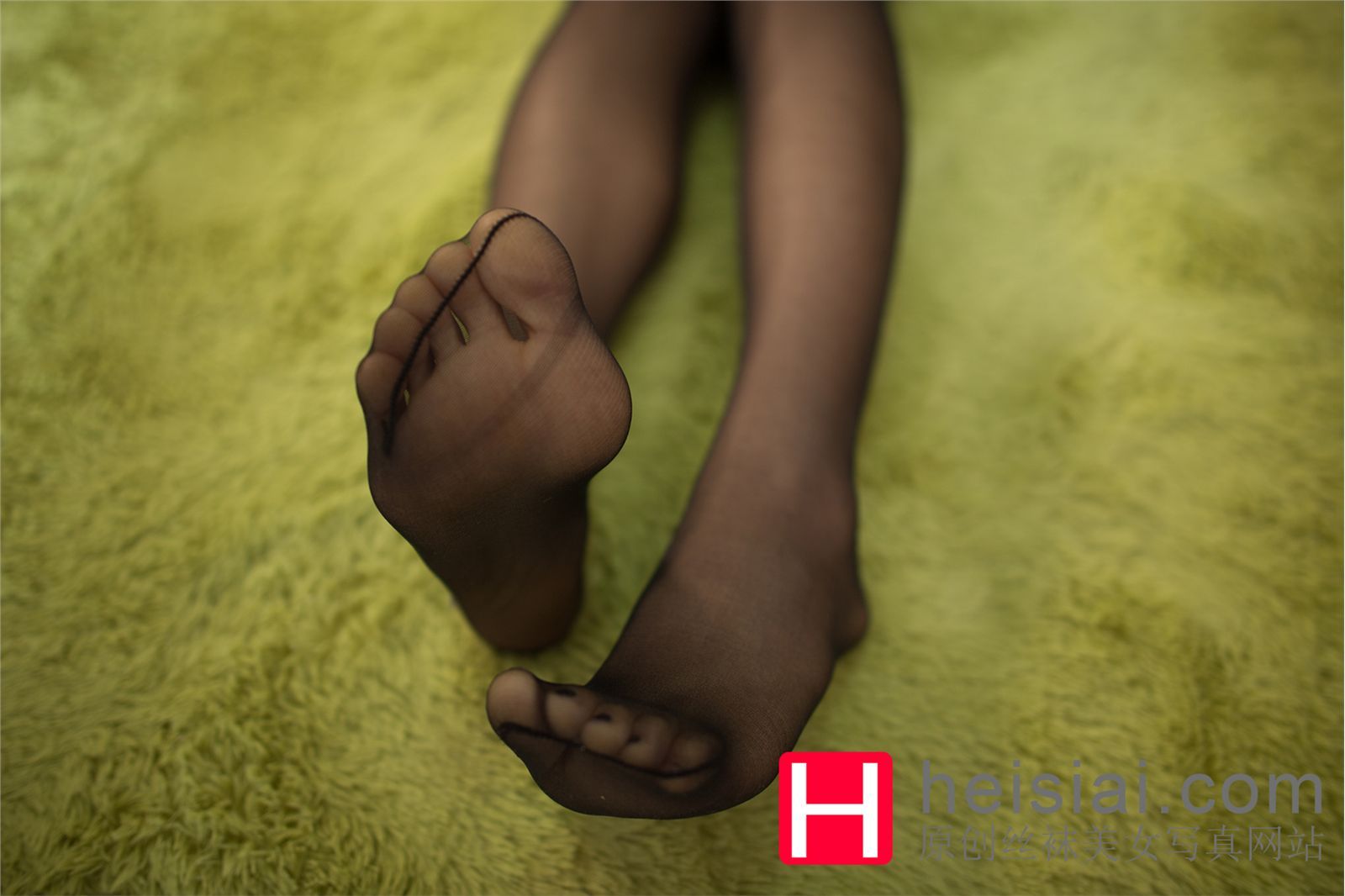 [HeiSiAi]2015.05.15 NO.276[12P]