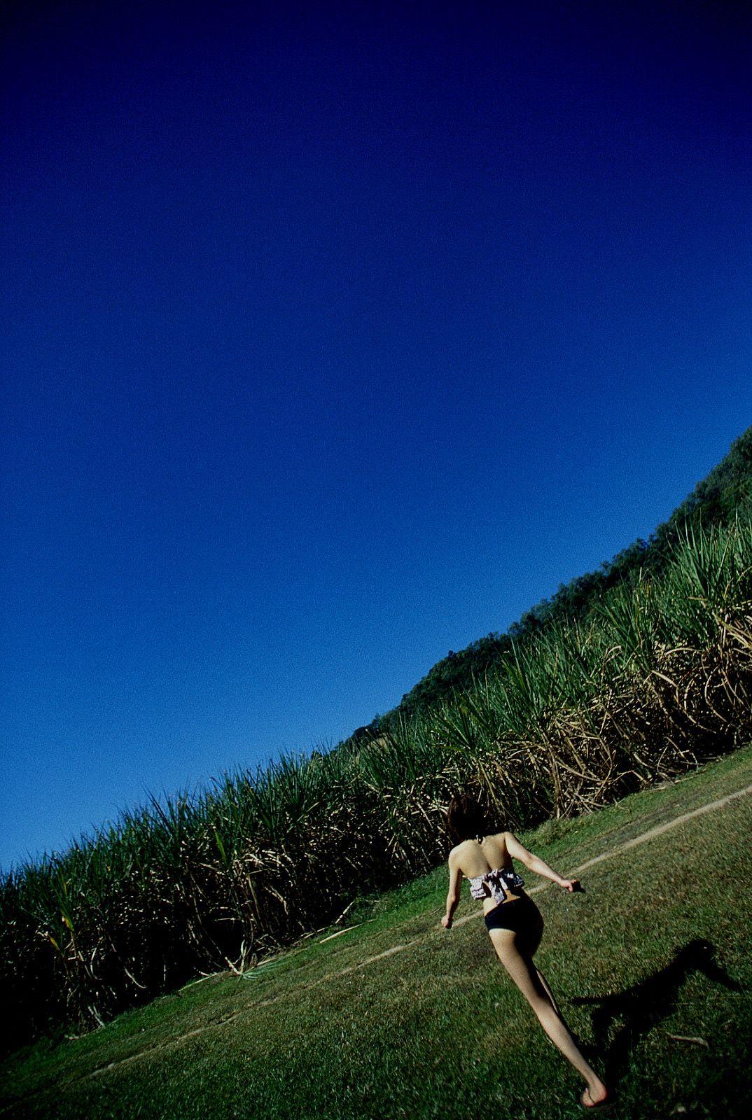 [NS Eyes写真套图]2003.08.08 SF-No.226 Noriko Sagara(相楽のり子)0