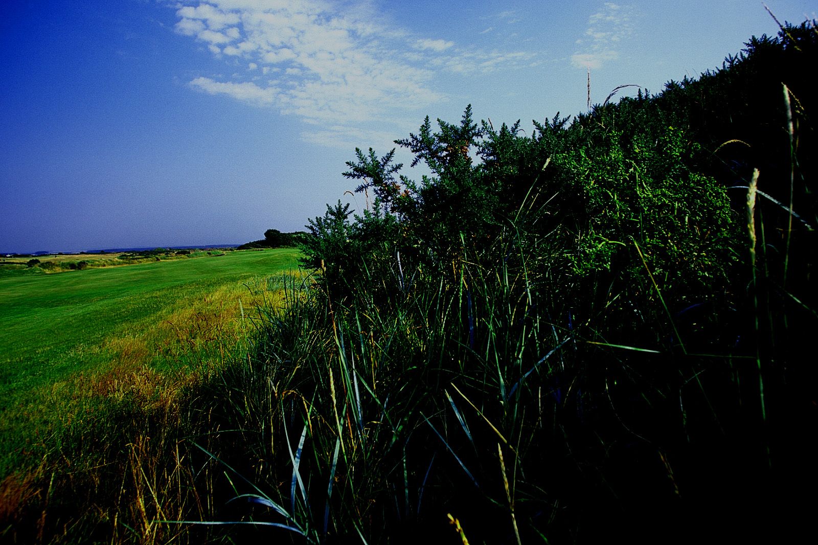 [NS Eyes写真套图]2004.01.09 SF-No.247 The Open Championship(全英オープン)-GOLF!2