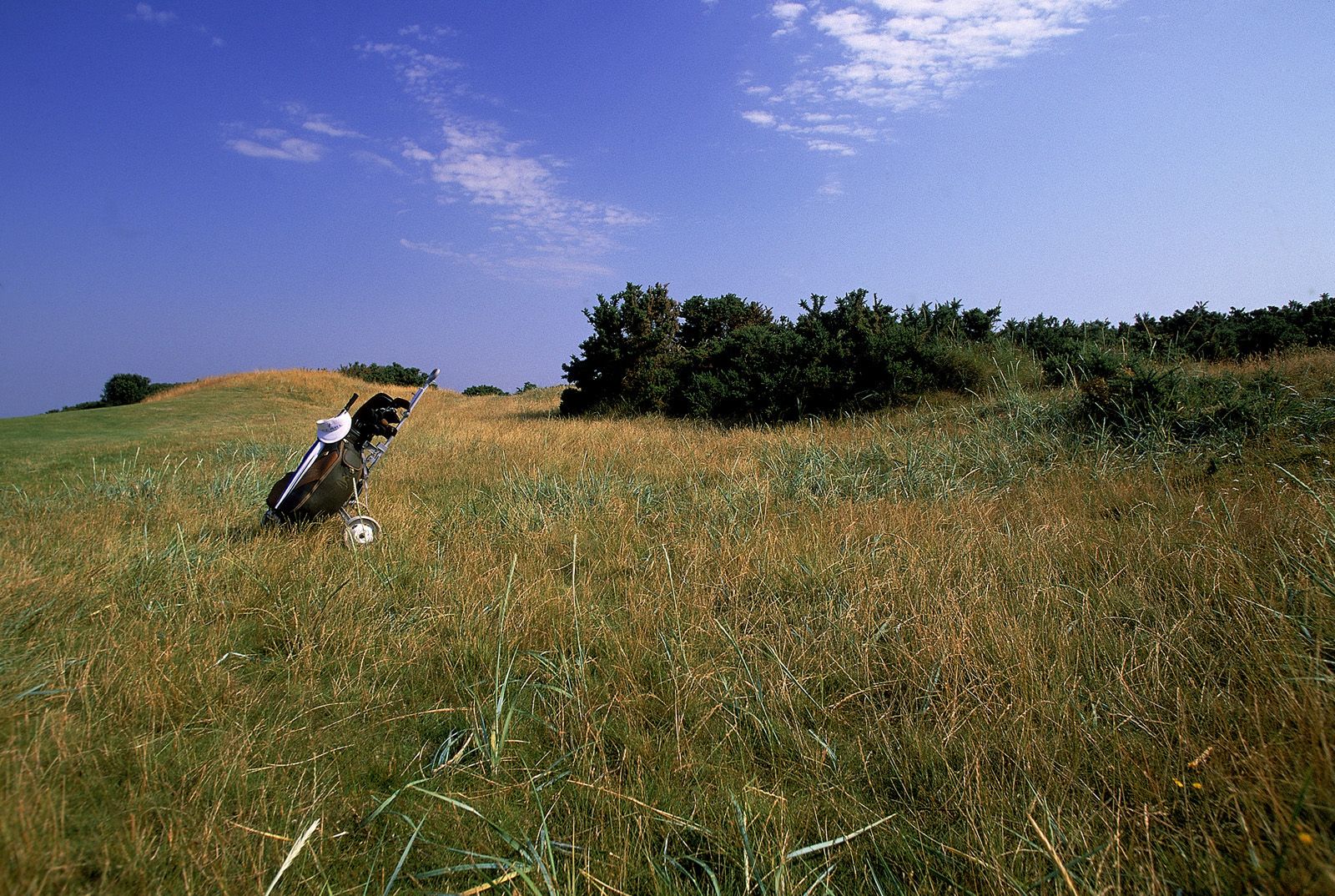 [NS Eyes写真套图]2005.07.08 SF-No.325 THE OPEN 2005 St.Andrews-GOLF!0