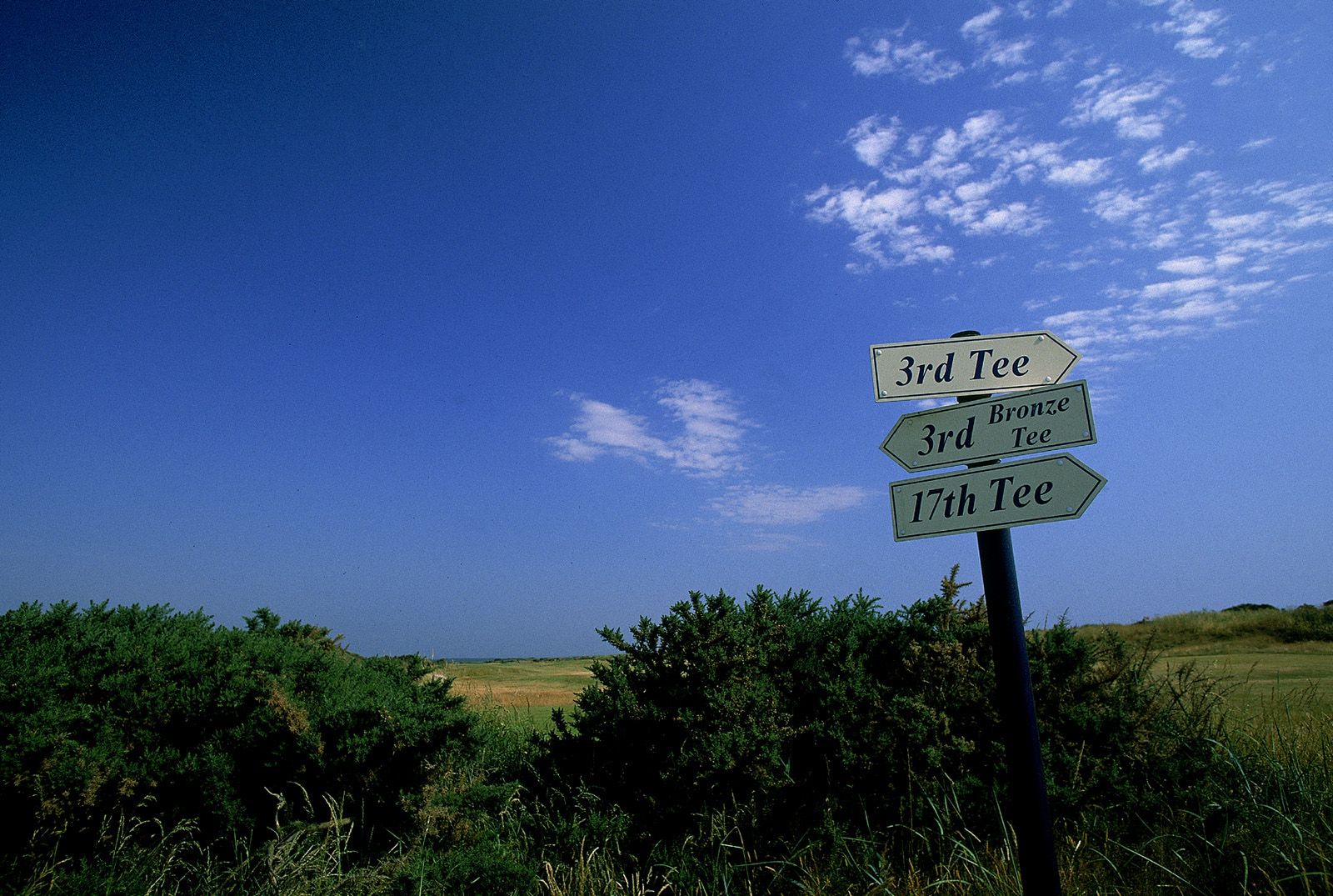 [NS Eyes写真套图]2005.07.08 SF-No.325 THE OPEN 2005 St.Andrews-GOLF!1