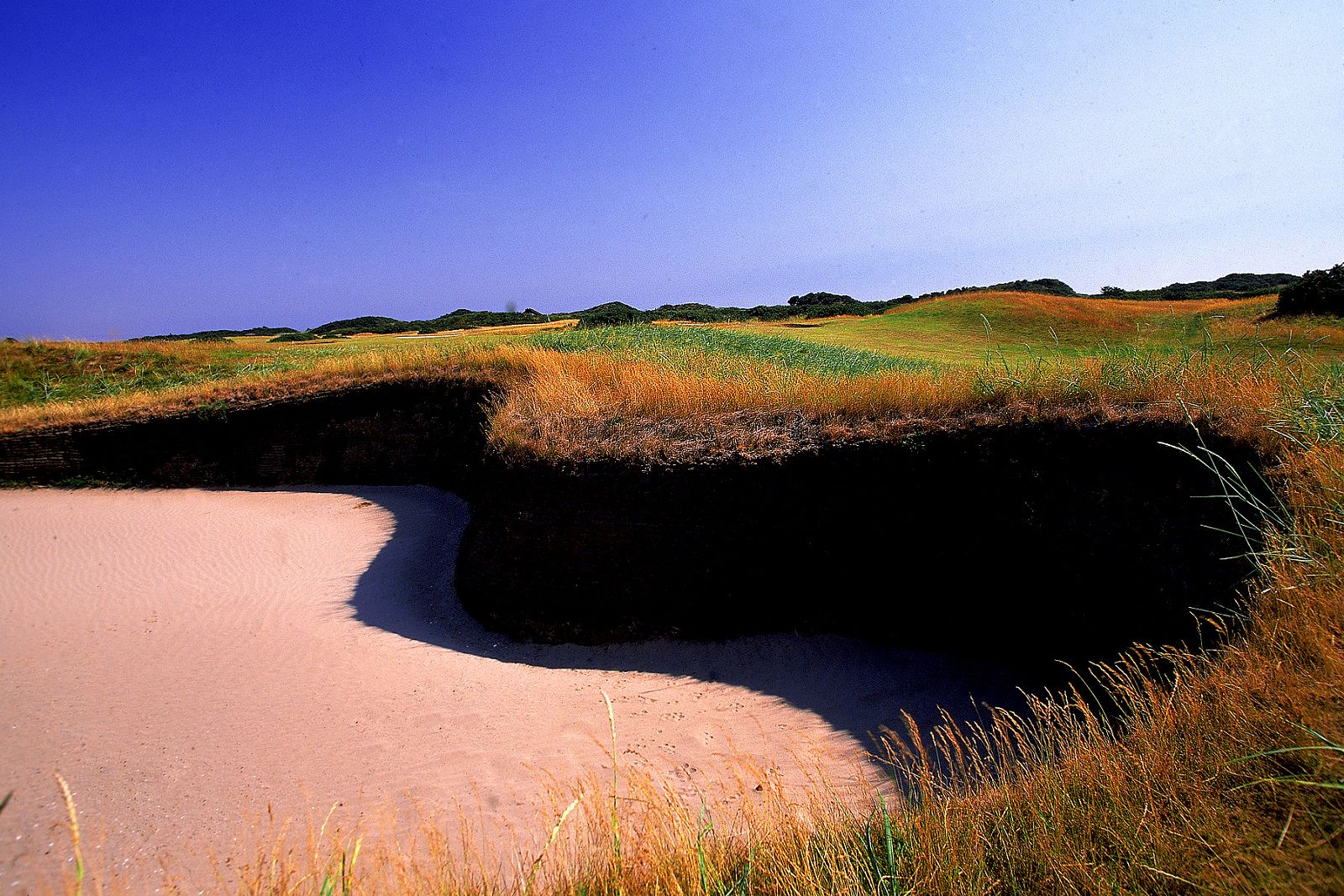 [NS Eyes写真套图]2005.07.08 SF-No.325 THE OPEN 2005 St.Andrews-GOLF!2