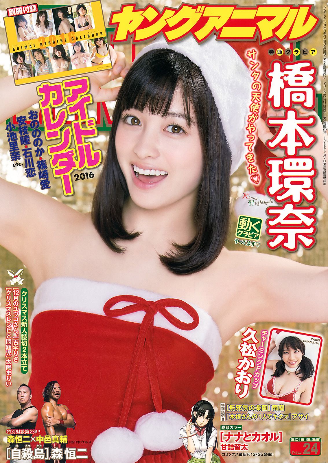 [Young Animal] 2015.12 No.24 橋本環奈 久松かおり0