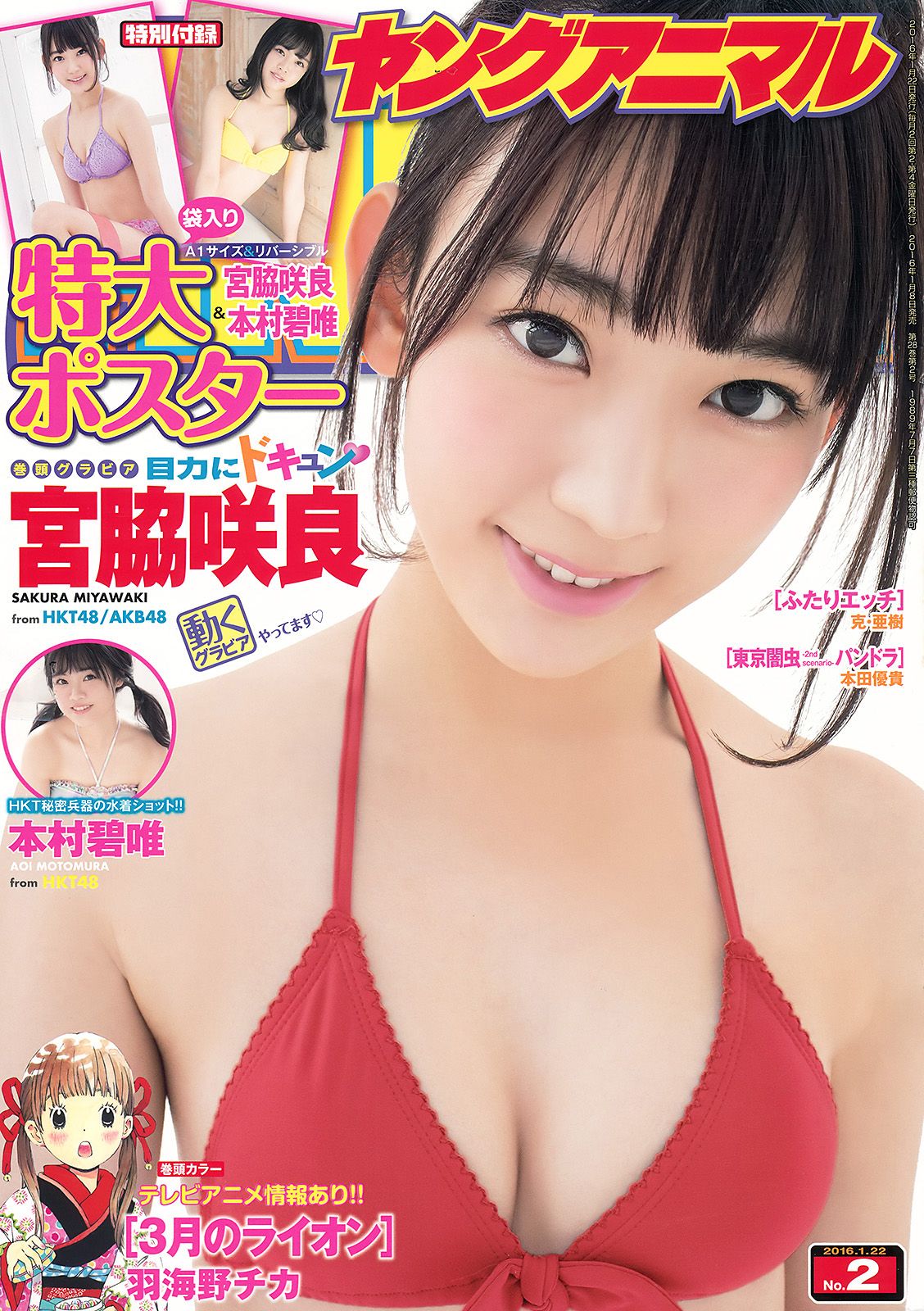 [Young Animal] 2016.01 No.02 宮脇咲良 本村碧唯0