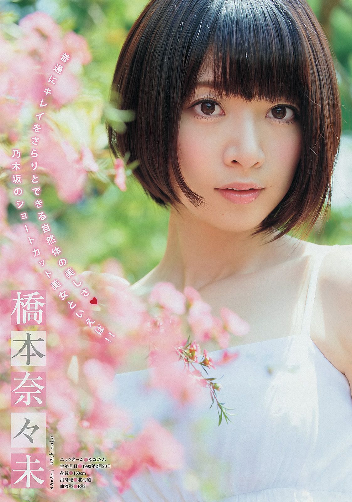 [Young Magazine] 2014 No.29 壇蜜 西野七瀬 橋本奈々未2