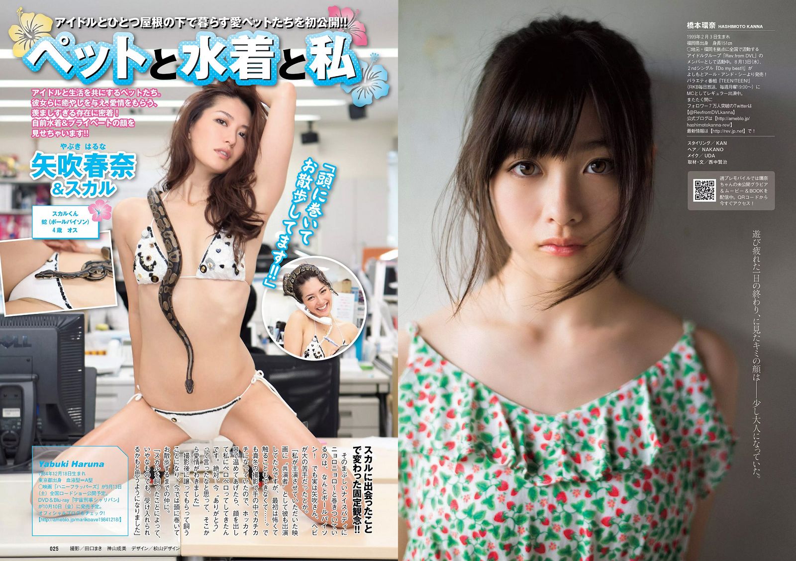 [Weekly Playboy] 2014 No.34-35 AKB48 山地まり 橋本環奈 吉木りさ 安達祐実 小瀬田麻由3